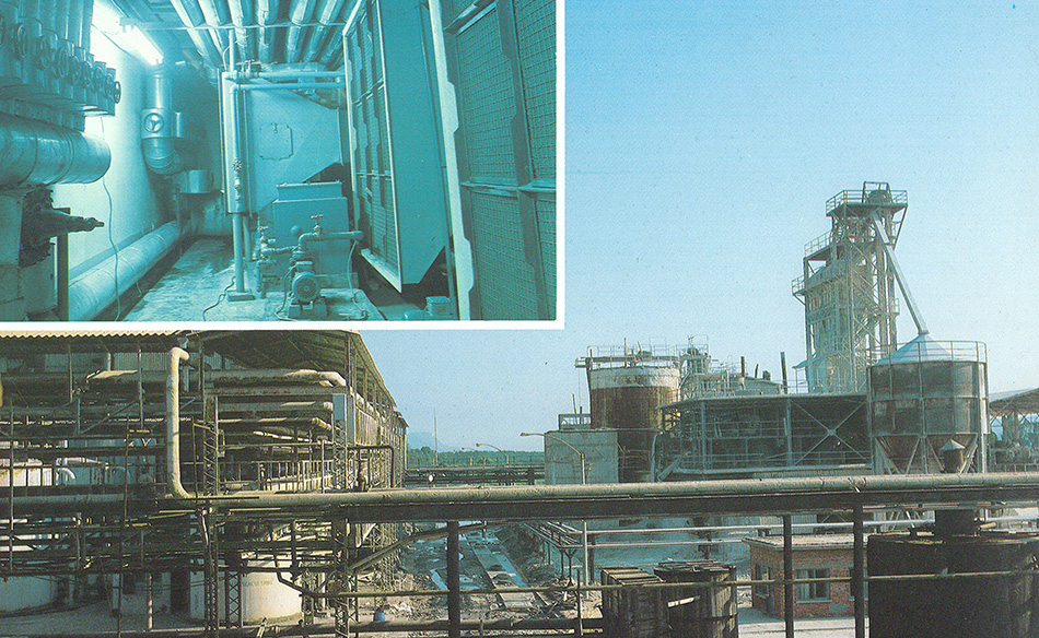 Dalaman Pulp & Paper Mill Water Treatment Plant